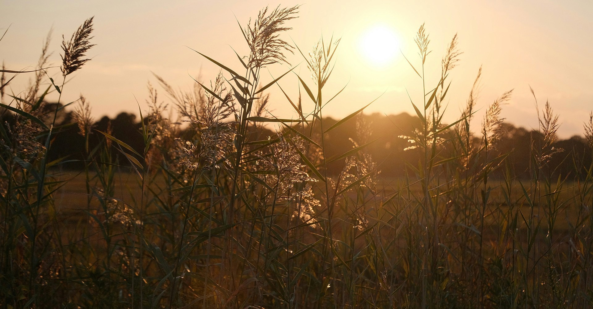 Chase sunsets and adrenaline together