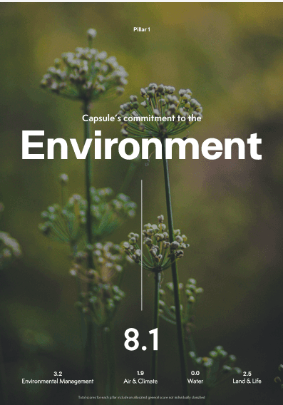 Capsule's commitment to the environment