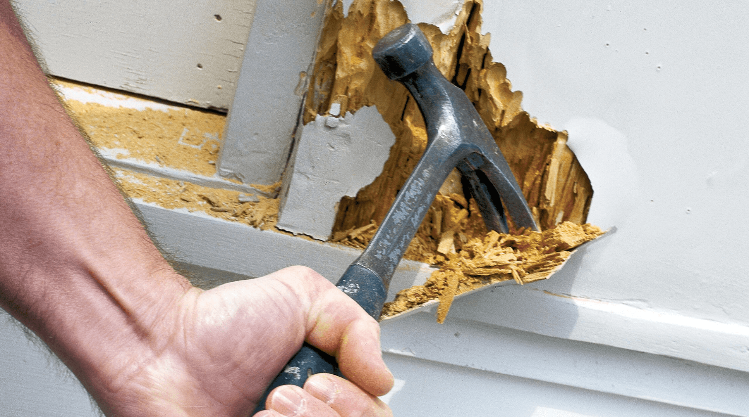 Expert Commercial Dry Rot Repair Services