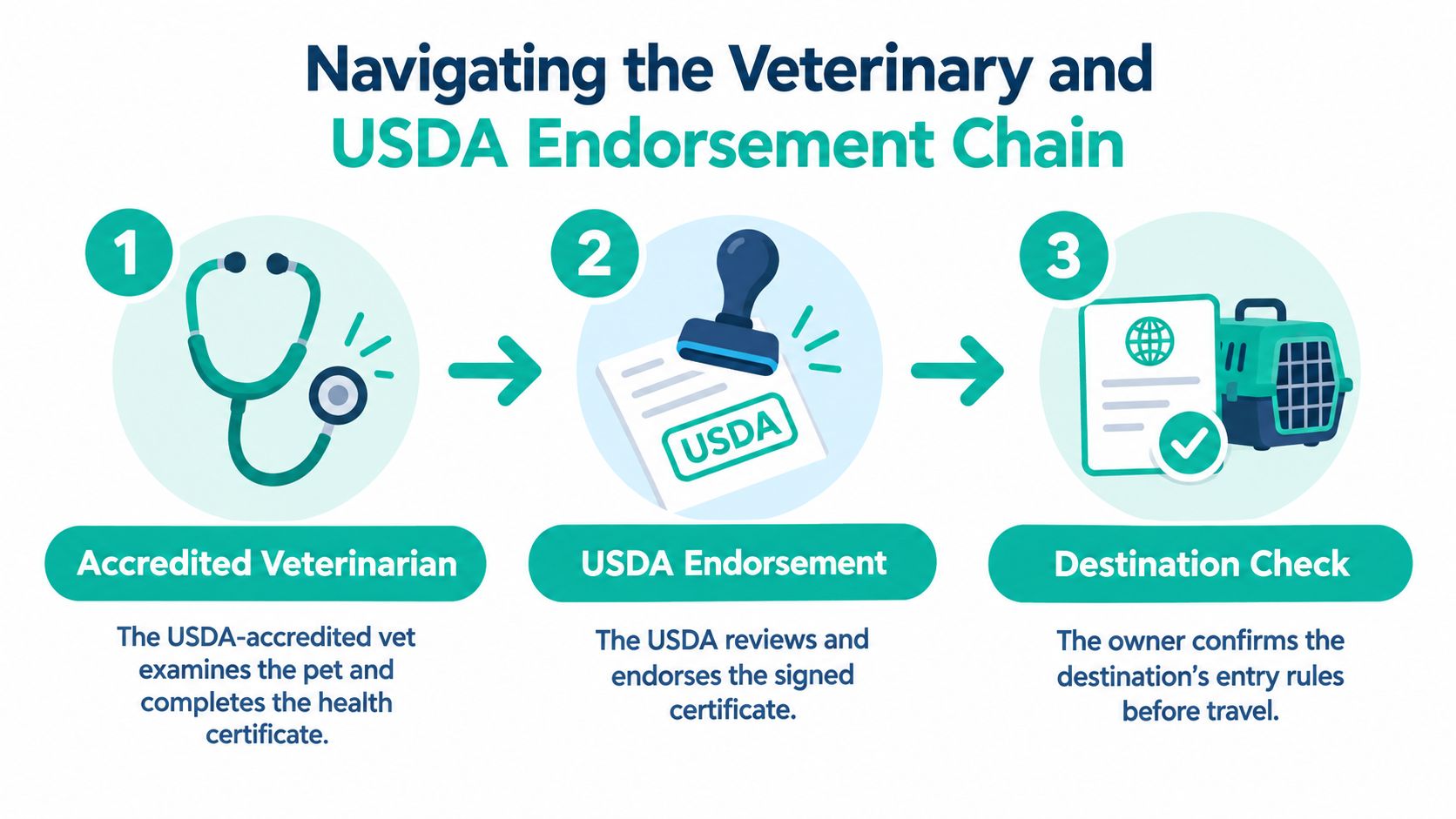 A three-step infographic showing the process for pet travel health certification, including veterinary, USDA, and destination requirements.
