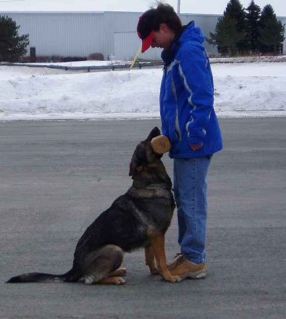 horse,-nature,-eye,-mane,-close-up,-horse-eye,-horse-details,-mammal,-animal,-eq - wal_172619 (pixabay)