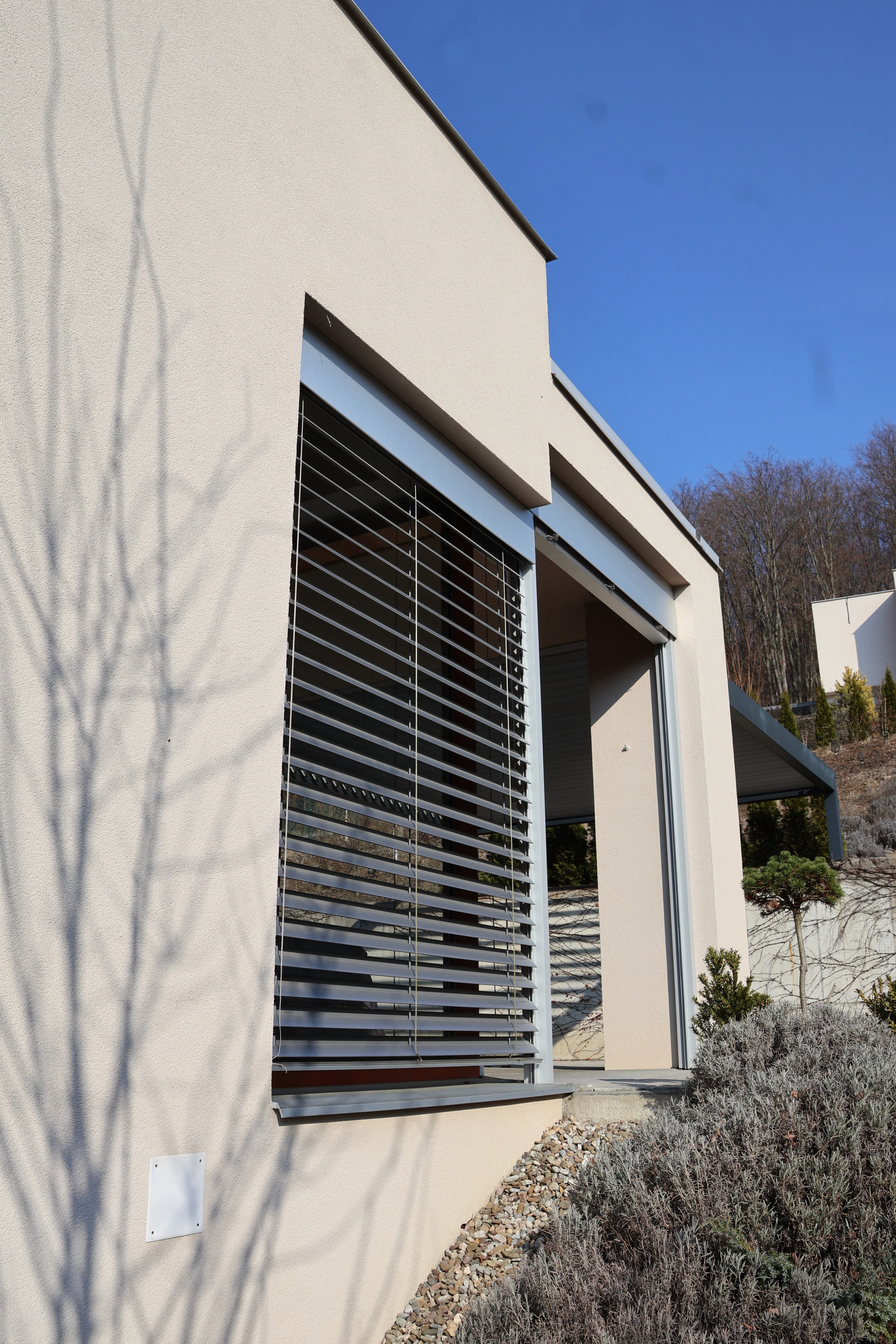 Portrait of portfolio creator – back view