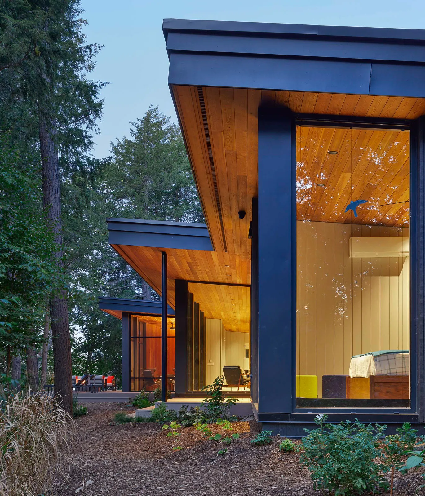 Modern cottage bungalow with floor to ceiling windows and beautiful locally sourced garden plants at dusk.