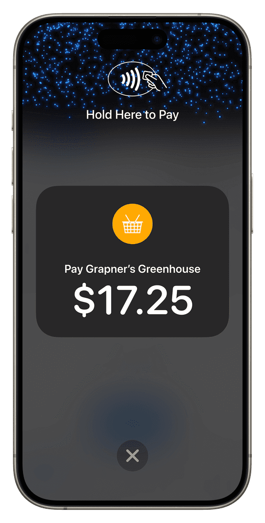 Tap to pay iphone screen