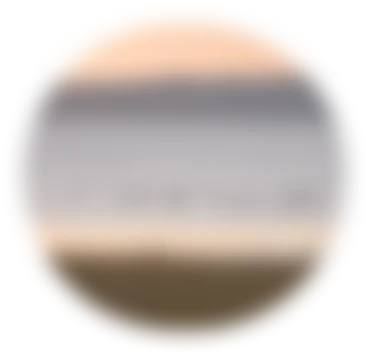 Groupe d’oiseaux flottant sur un plan d’eau calme au coucher du soleil, avec collines en arrière-plan.