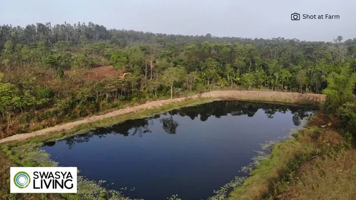 how to reduce global warming​.webp