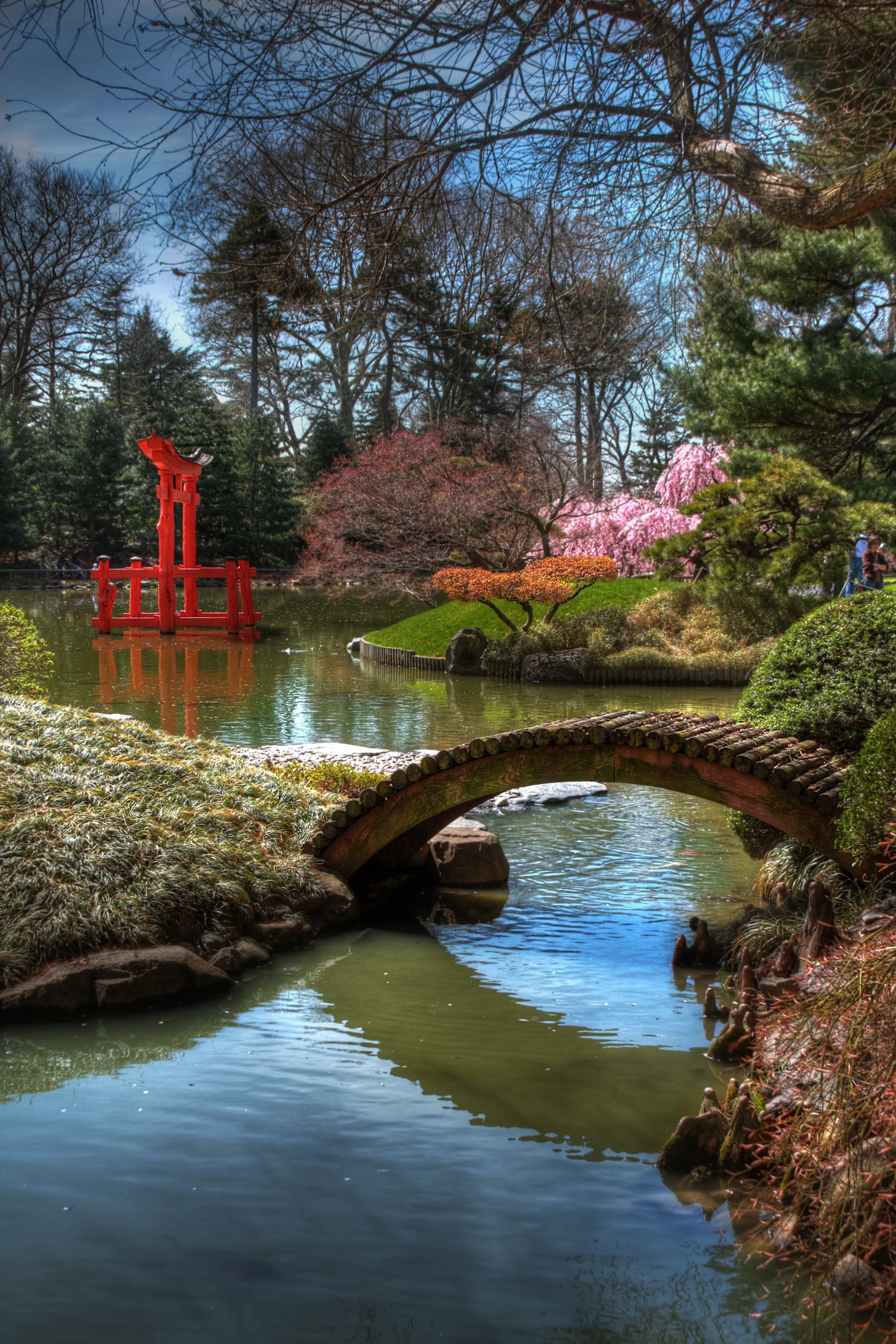 Serene Japanese garden with a bright red torii gate, arched bridge over calm water, and vibrant pink cherry blossoms.