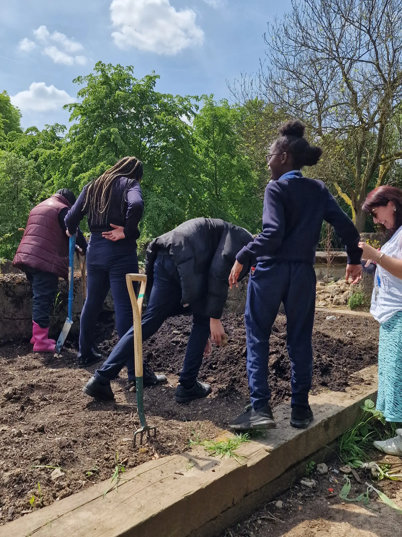 A group of people working together in a garden on a sunny day, planting or tending to the soil.