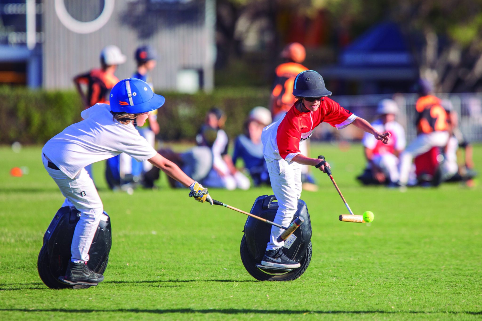 A winding road cuts through rocky terrain, surrounded by patches of green grass and illuminated by sunlight.