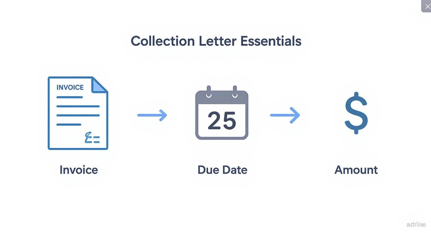 Collection letter essentials showing invoice, due date calendar marked 25, and dollar sign amount icon