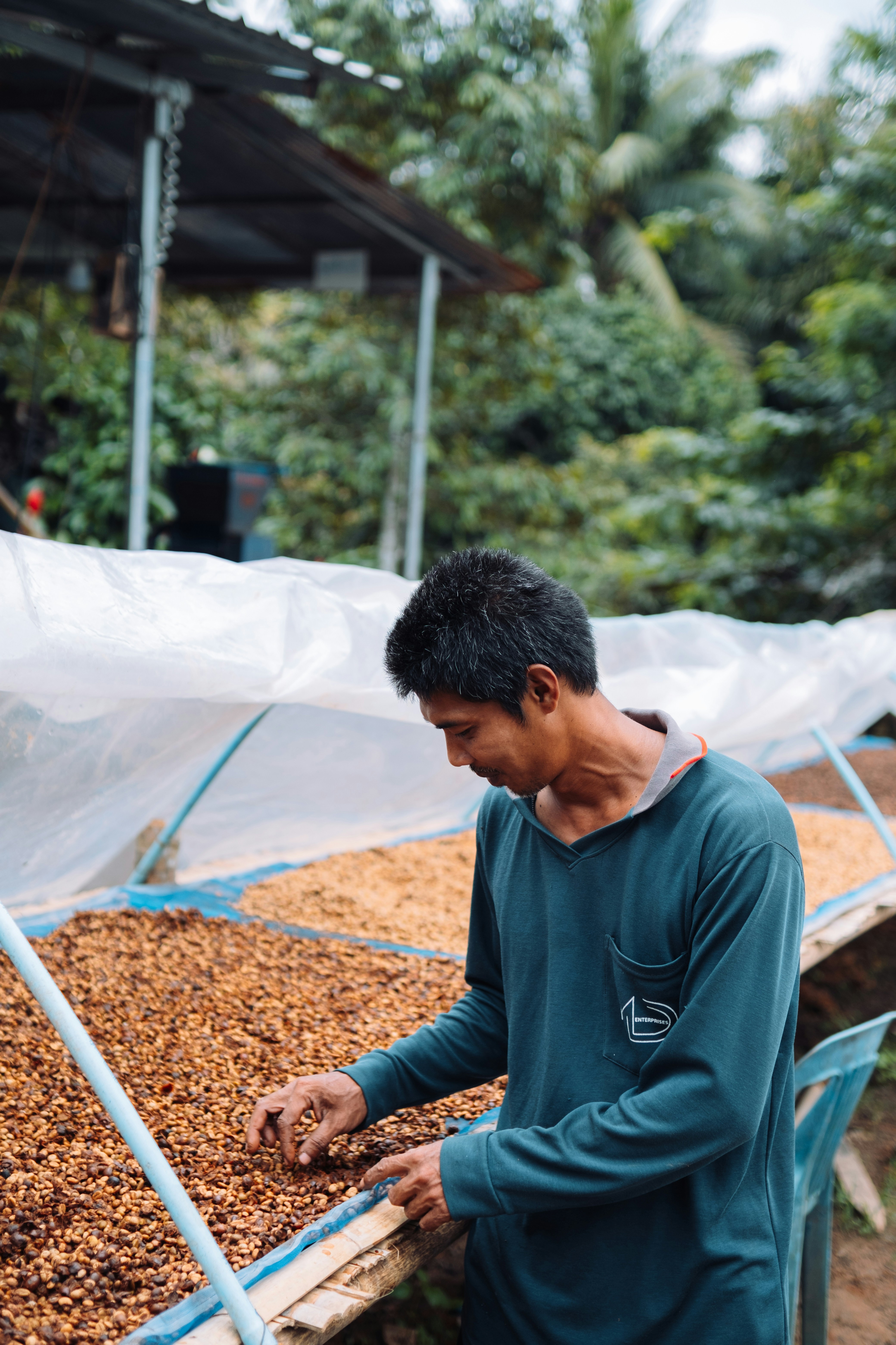 un homme se tenant devant une pile de grains de café
