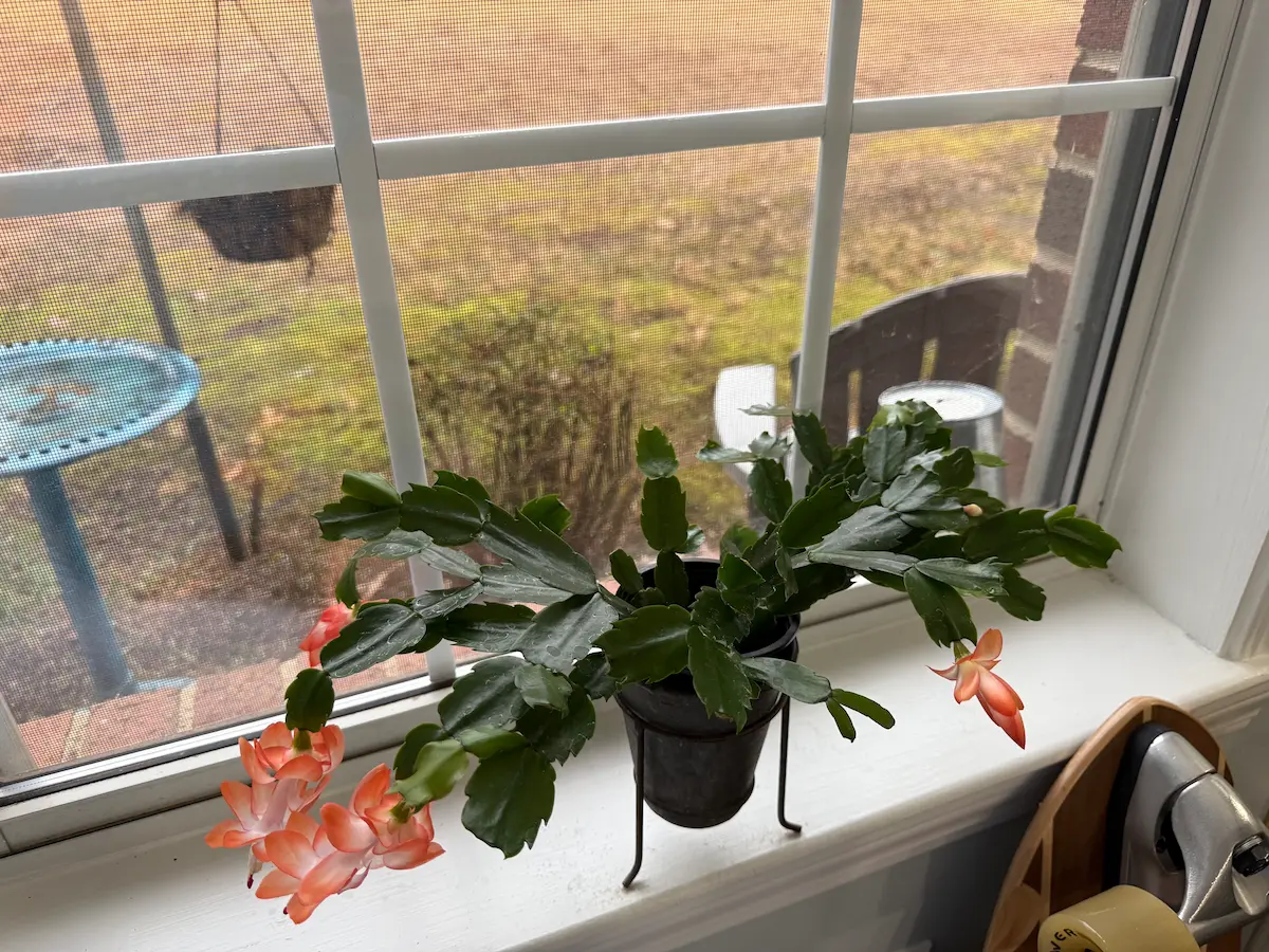 Hope & Healing: Fuel for the Journey