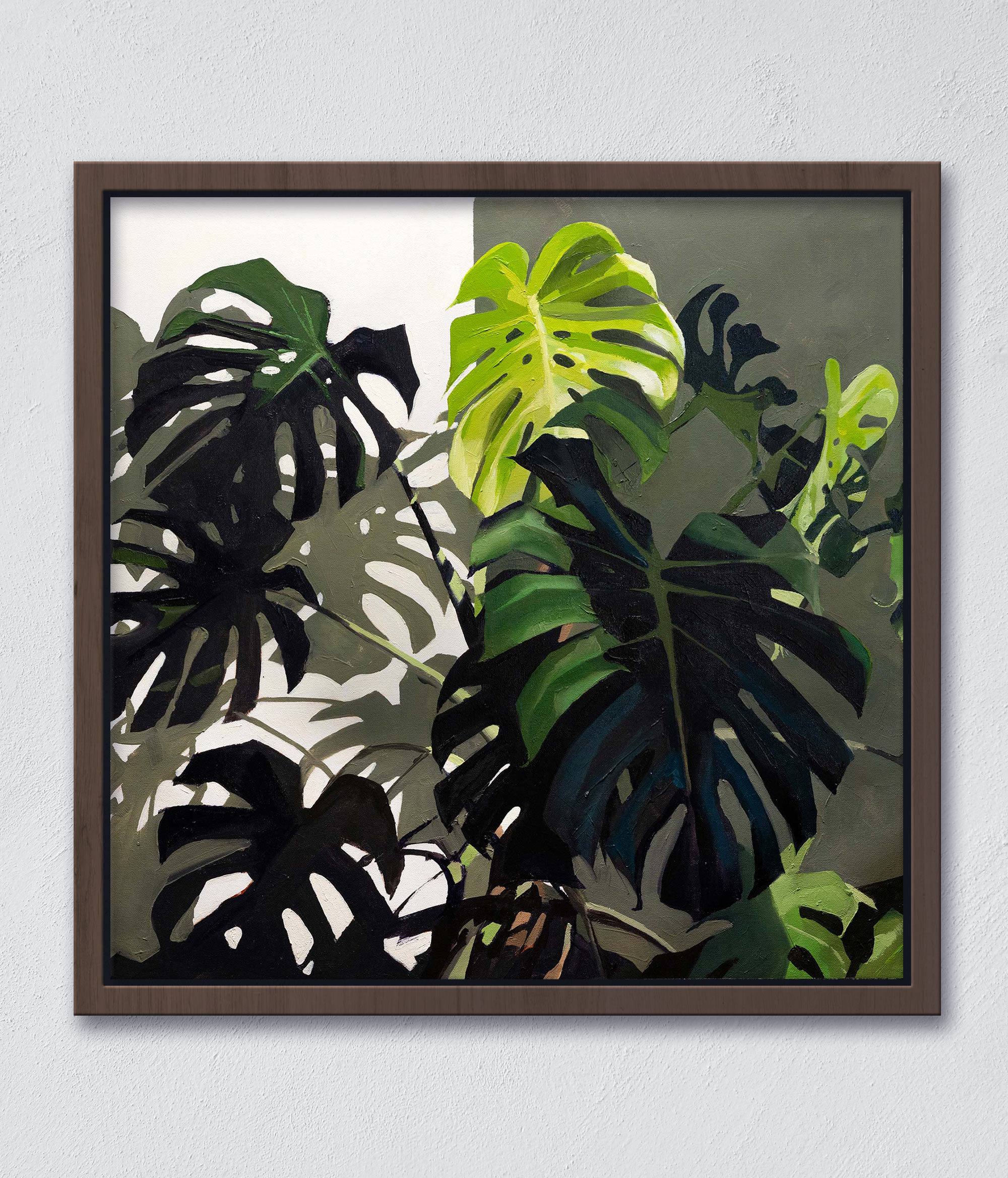 Detailed close-up of Monstera leaves