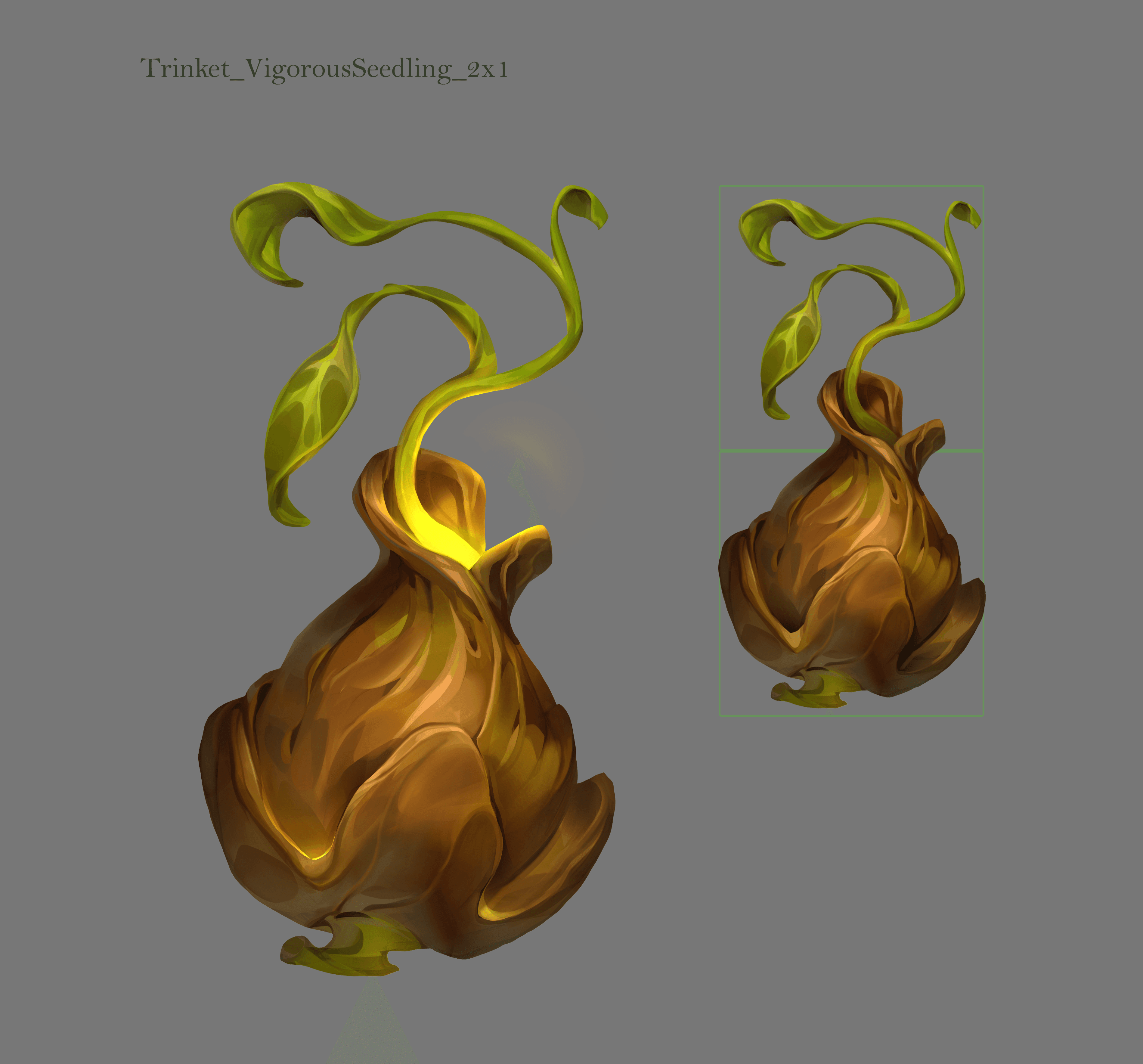 The vigerous Seedling