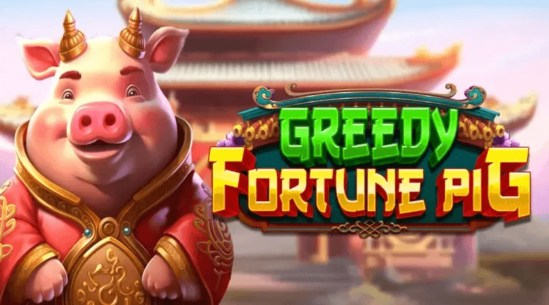 greedy fortune pig
