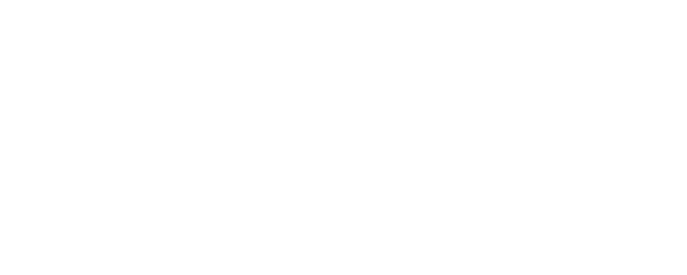 PULSE FIGHT