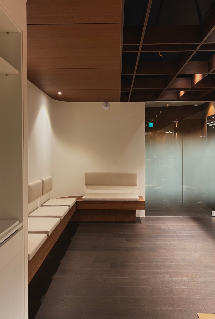 a potted plant and a potted tree in a room