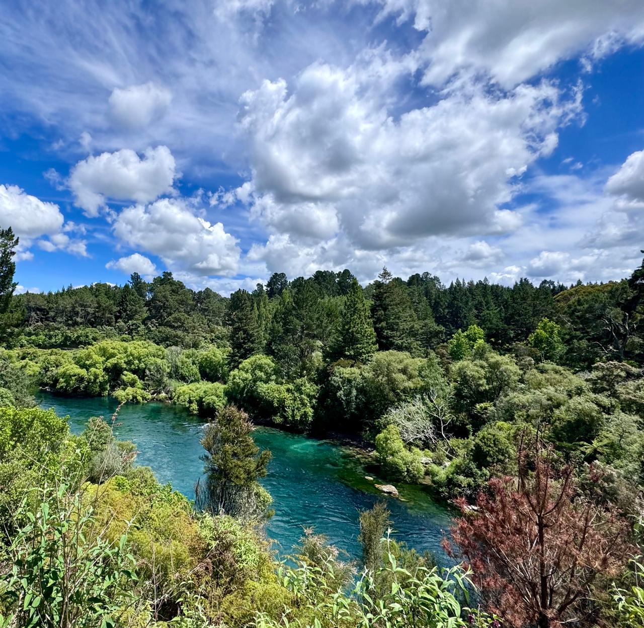 Waikato river flowing along the volcanic canyon in its lush green surroundings and under a vibrant blue sky