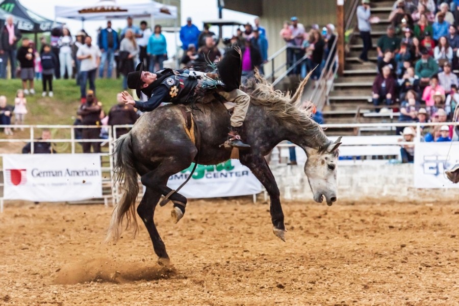 Bareback Bronc Rider