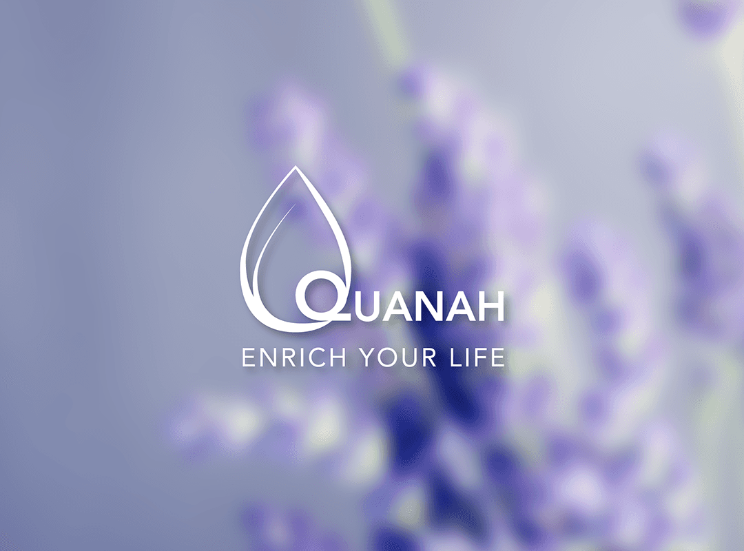 LOGO-Pranavi