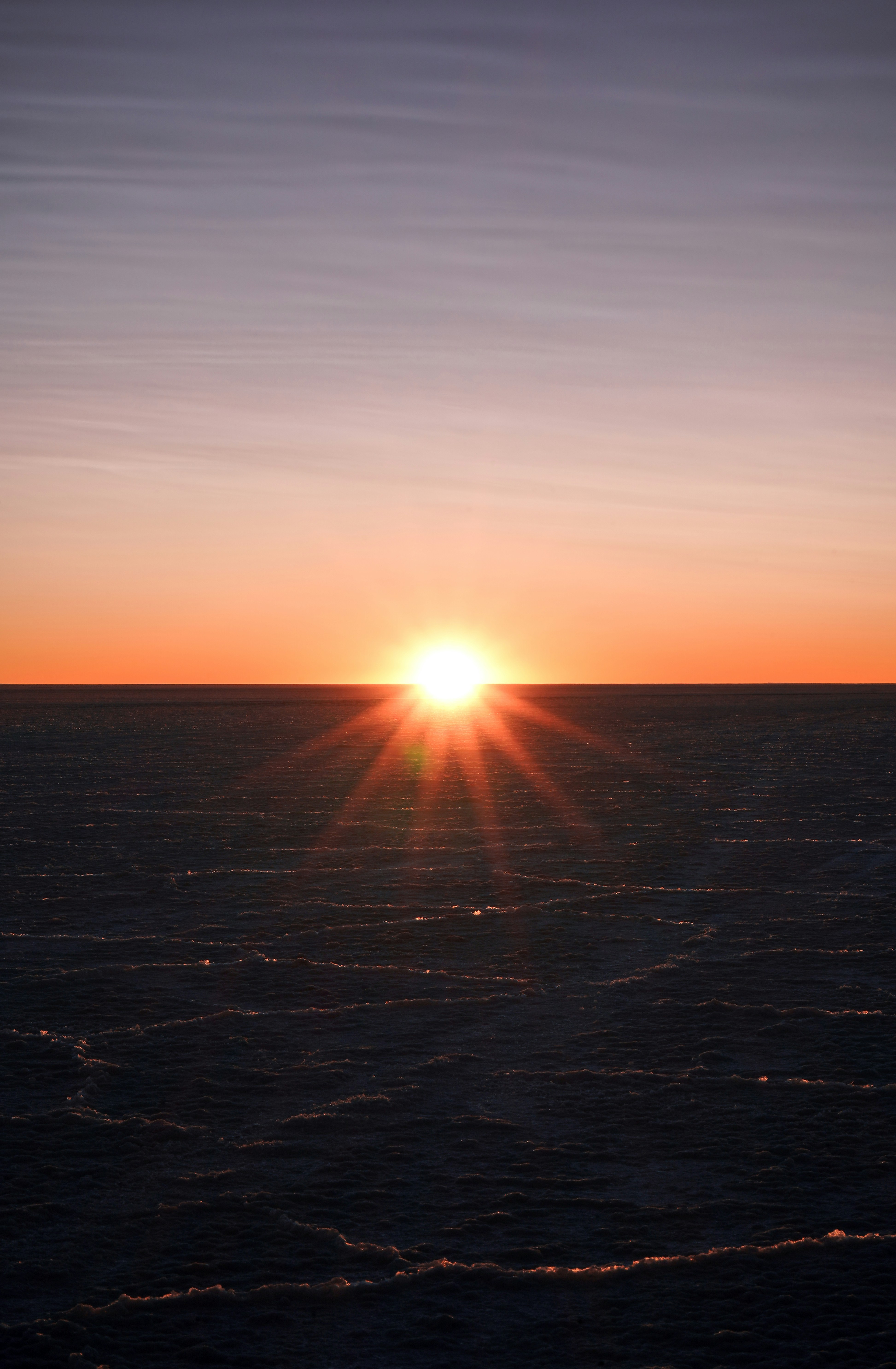 The Impact of Microinteractions on UX