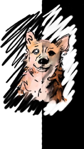 A dog's face split between a black and a white side, dog drawing by ana-di_magma3