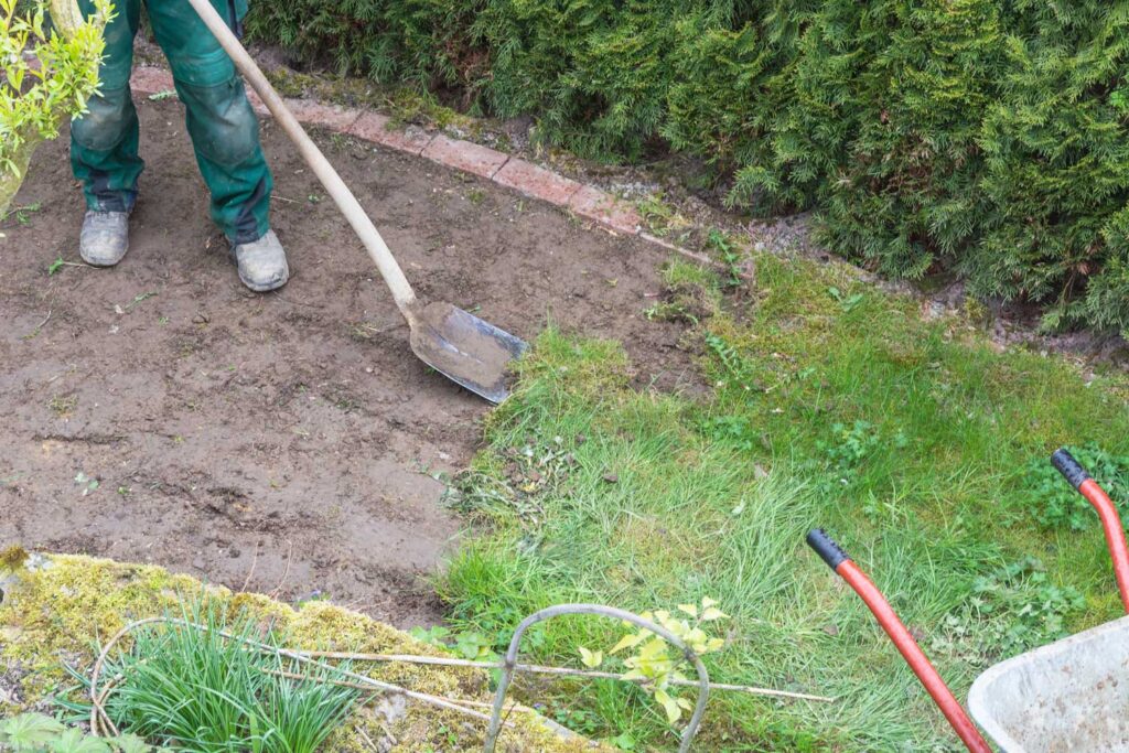FreshStart Landscaping Vegas grass removal lawn conversion to water‑efficient landscaping