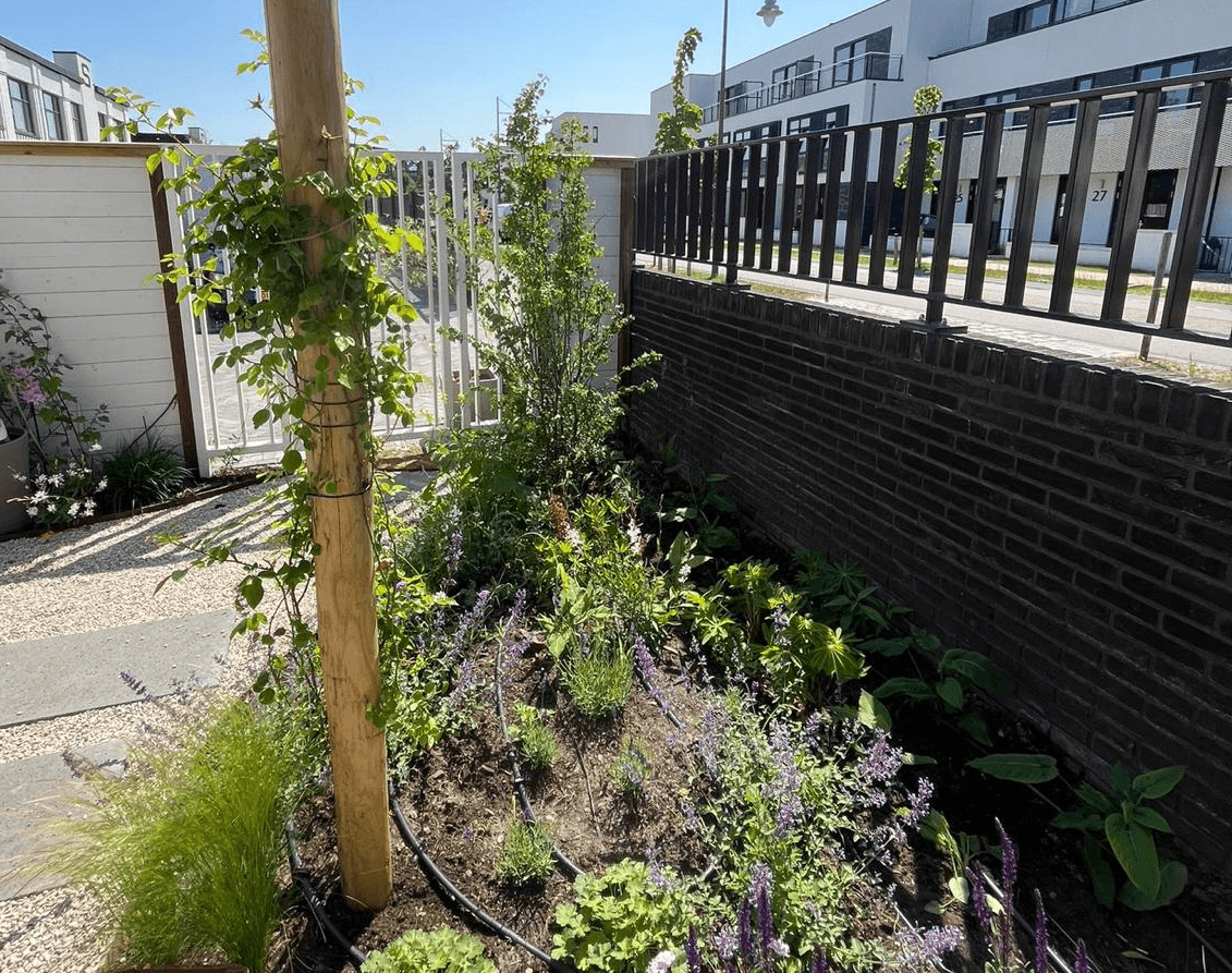 Beplanting - Art gardens