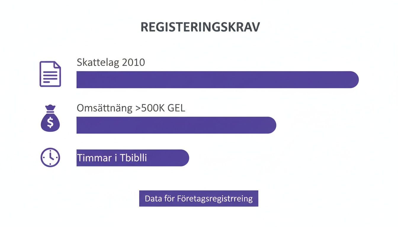 En infographic som visar registreringskrav för företag, inklusive skattelag, omsättning och timmar i Tbilisi.