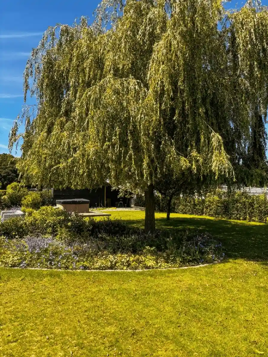 Strak tuinonderhoud van een villa in het land van Cuijk door Hoveniersbedrijf Star Landscaping