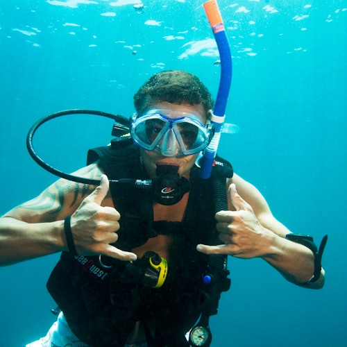 Brisbane: Scuba Diving Day Trip to Moreton Island tickets 