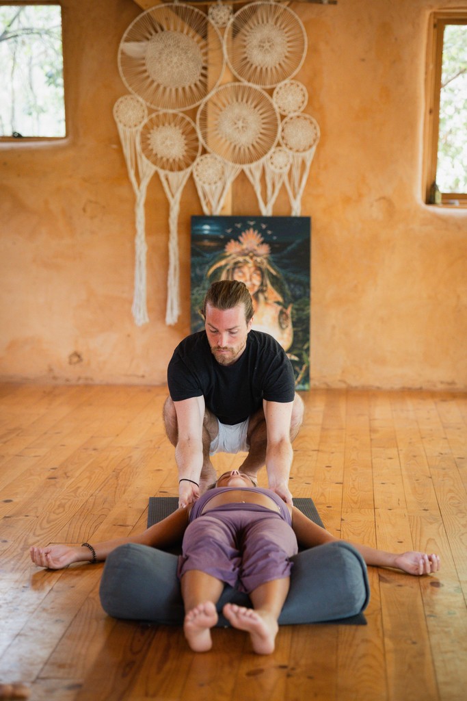 a tree with many branches and leaves