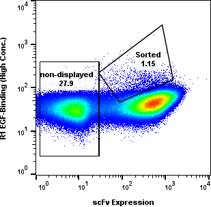 EGF yeast display FACS R1 flow plot with non-displayed and sorted gates
