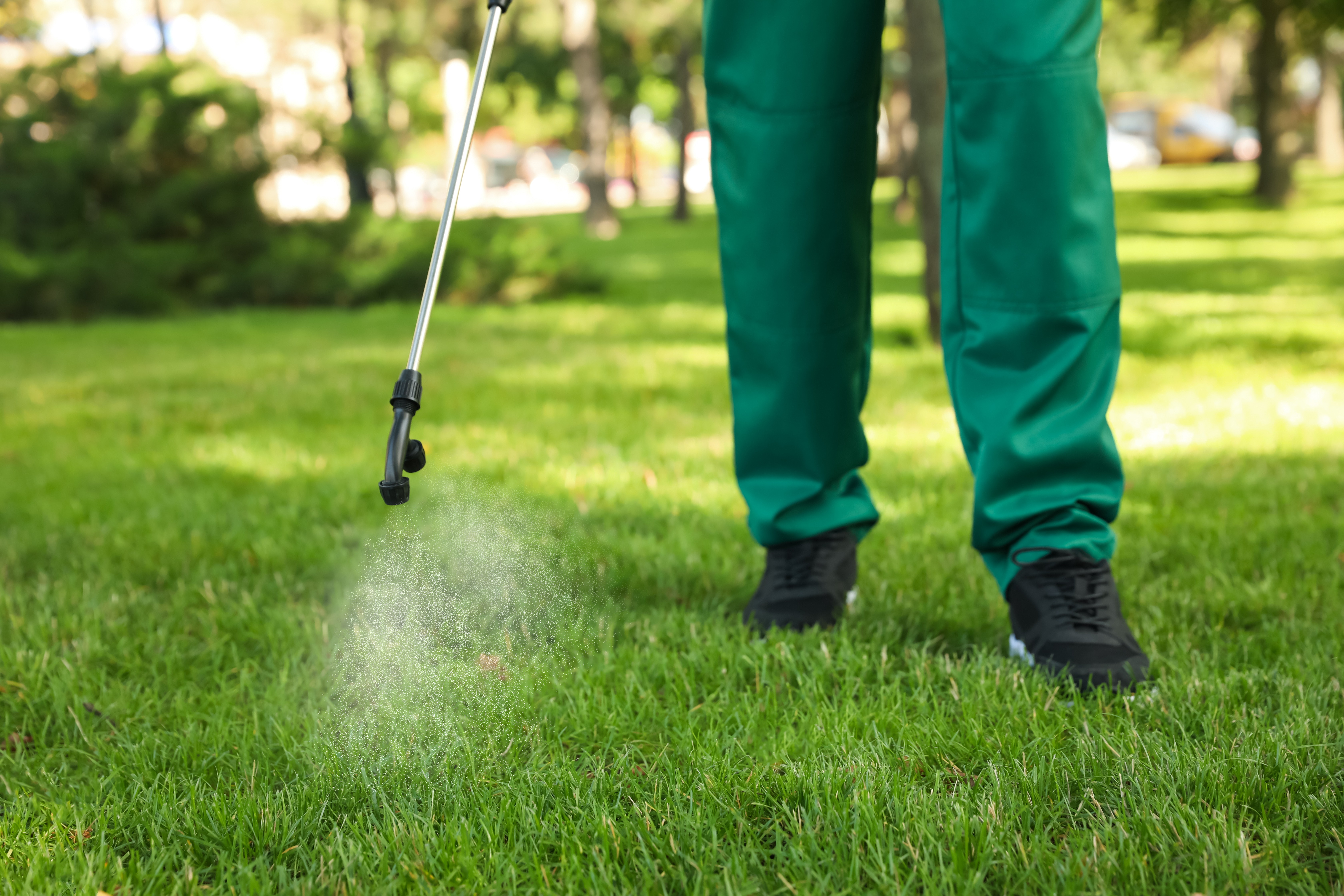 Lawn Fertilization Palm Coast and Ormond