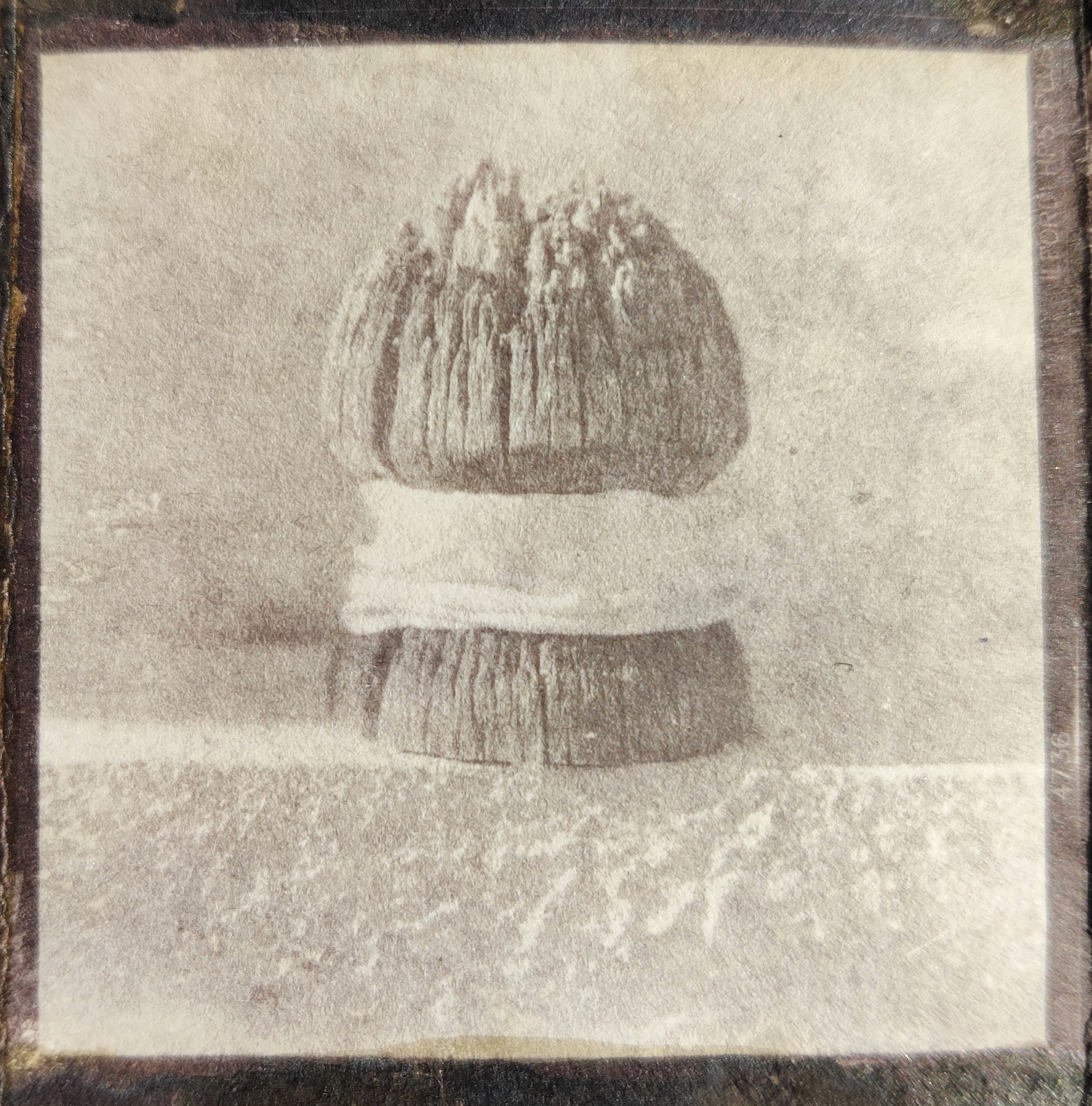 herd of sheep on road painting