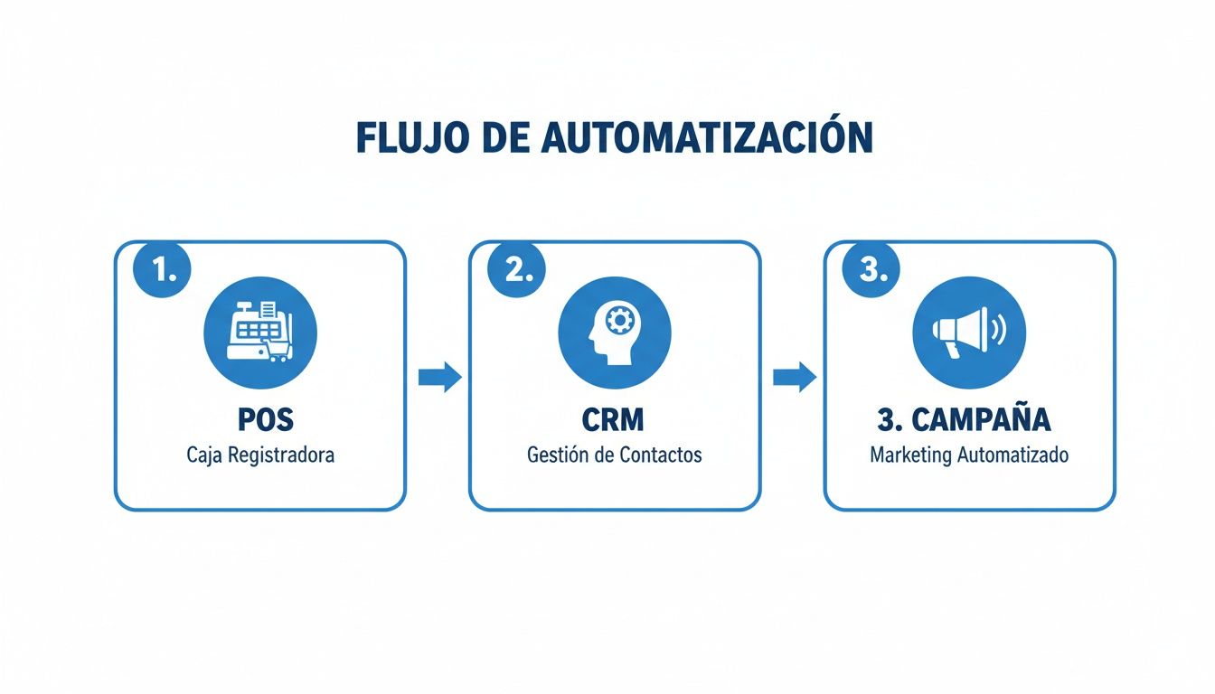 Diagrama de flujo de automatización de marketing que integra POS, CRM y campañas publicitarias.