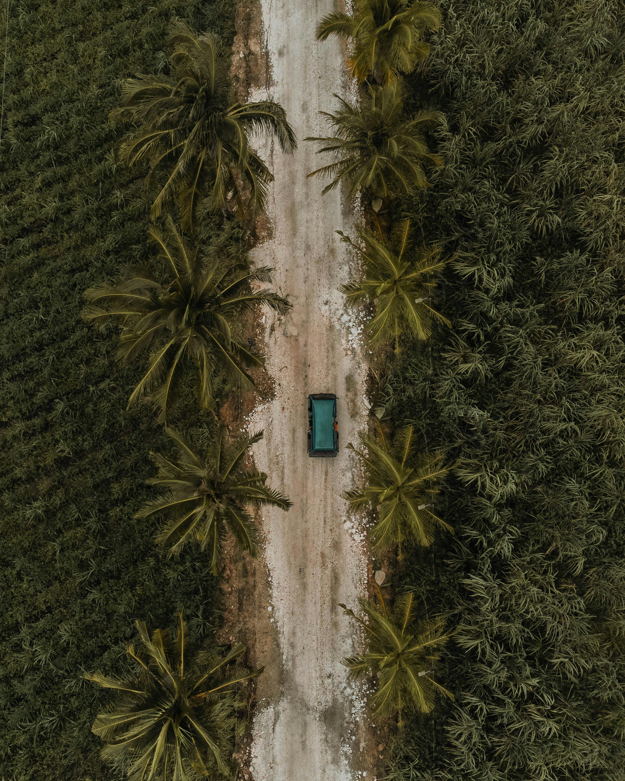 a school of children praying