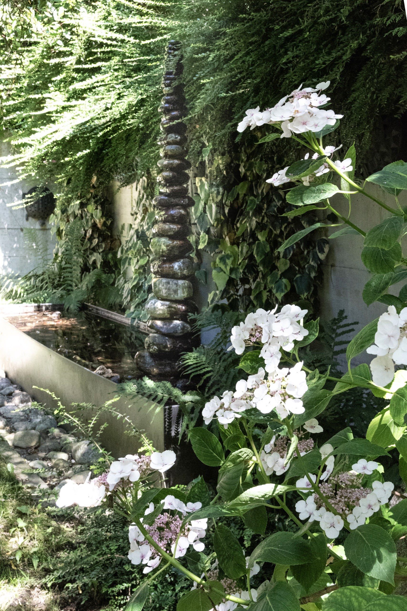 Fontaine et éclairage du jardin, oasis de biodiversité, Cheseaux-sur-Lausanne