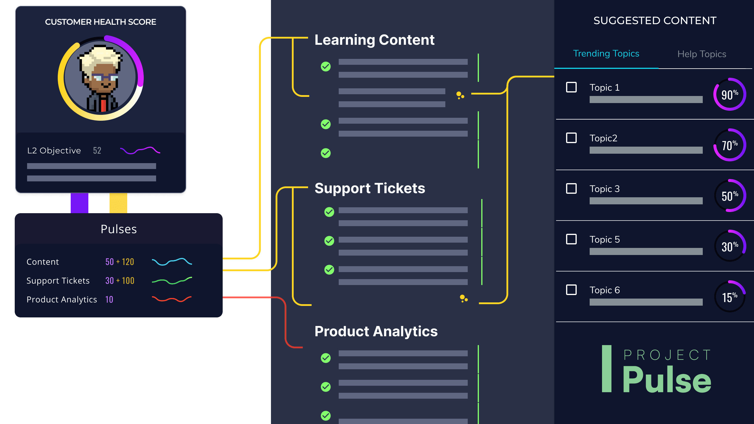 Project Pulse