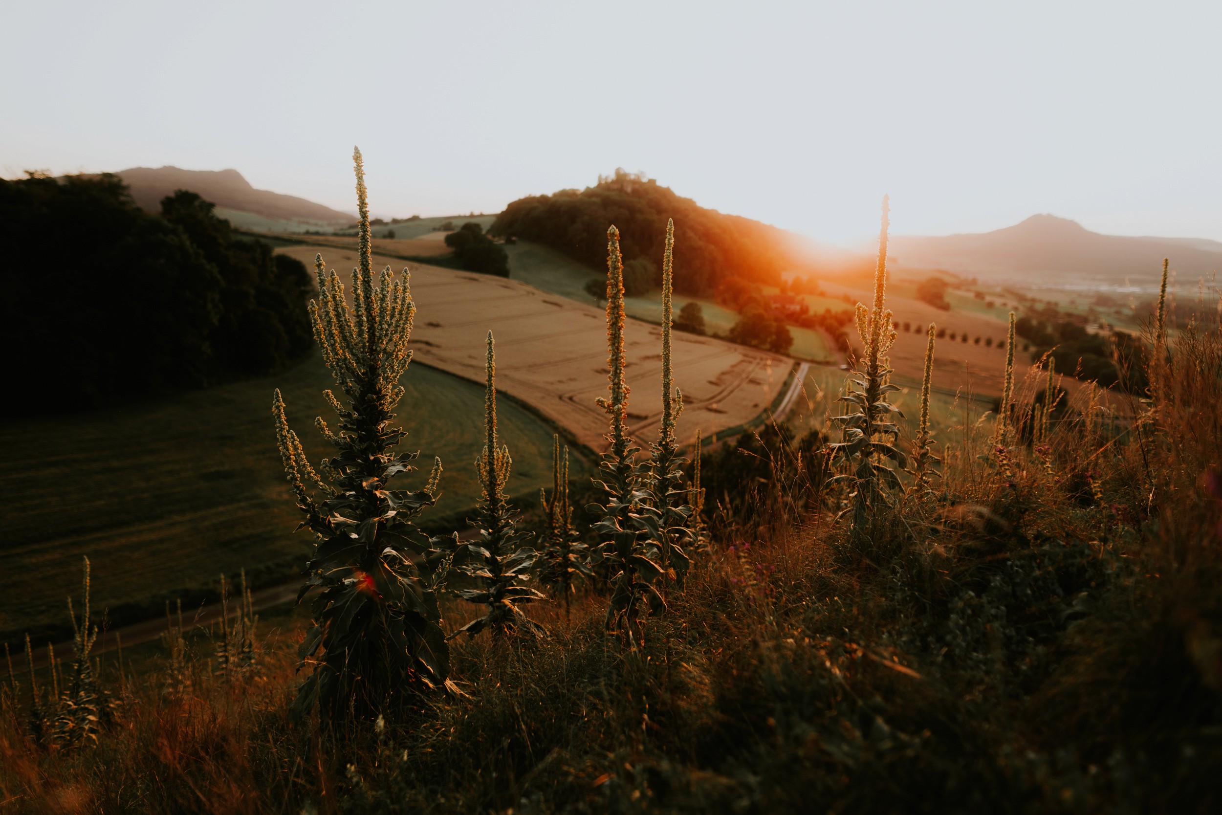 Klassische Weinwanderung