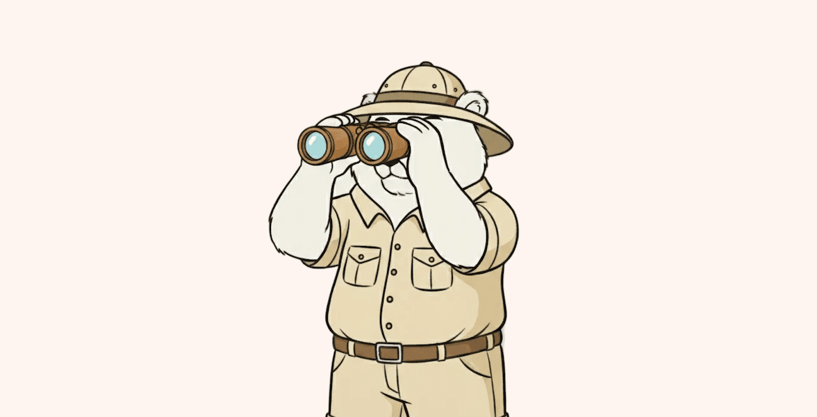 Illustration of a bear in safari clothes looking through binoculars