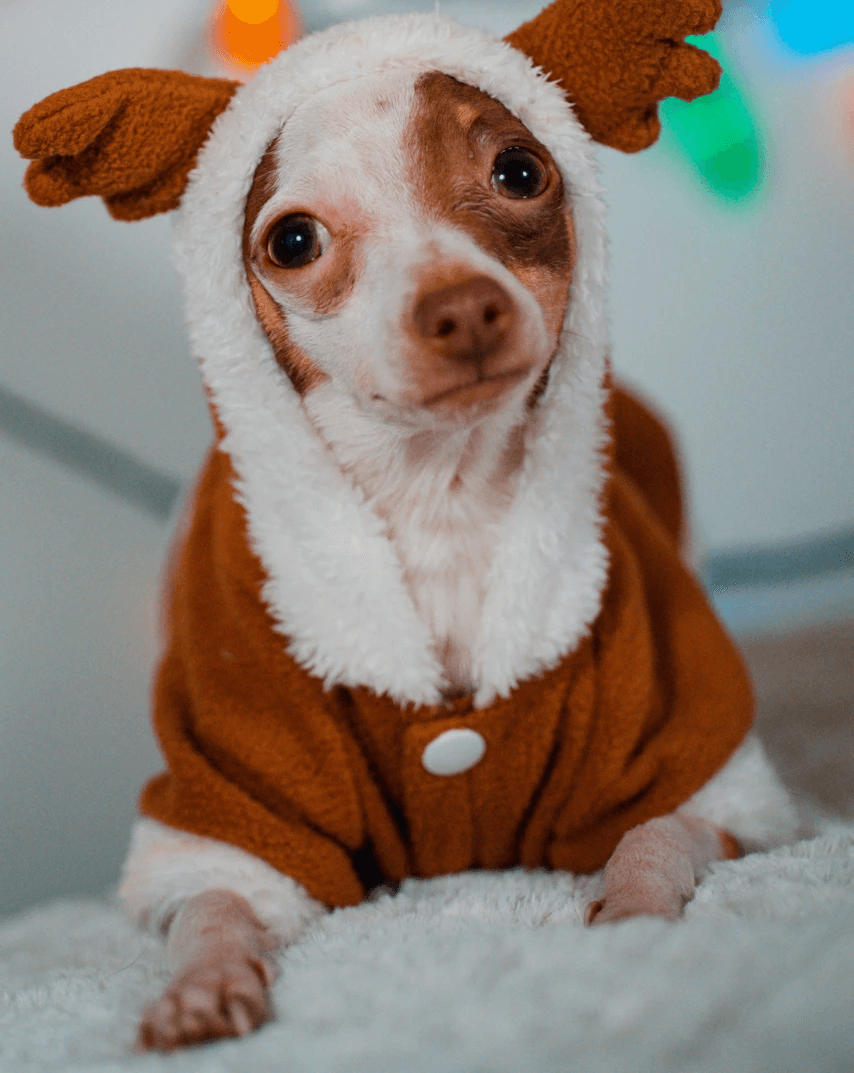 tessa morgan lady on laptop