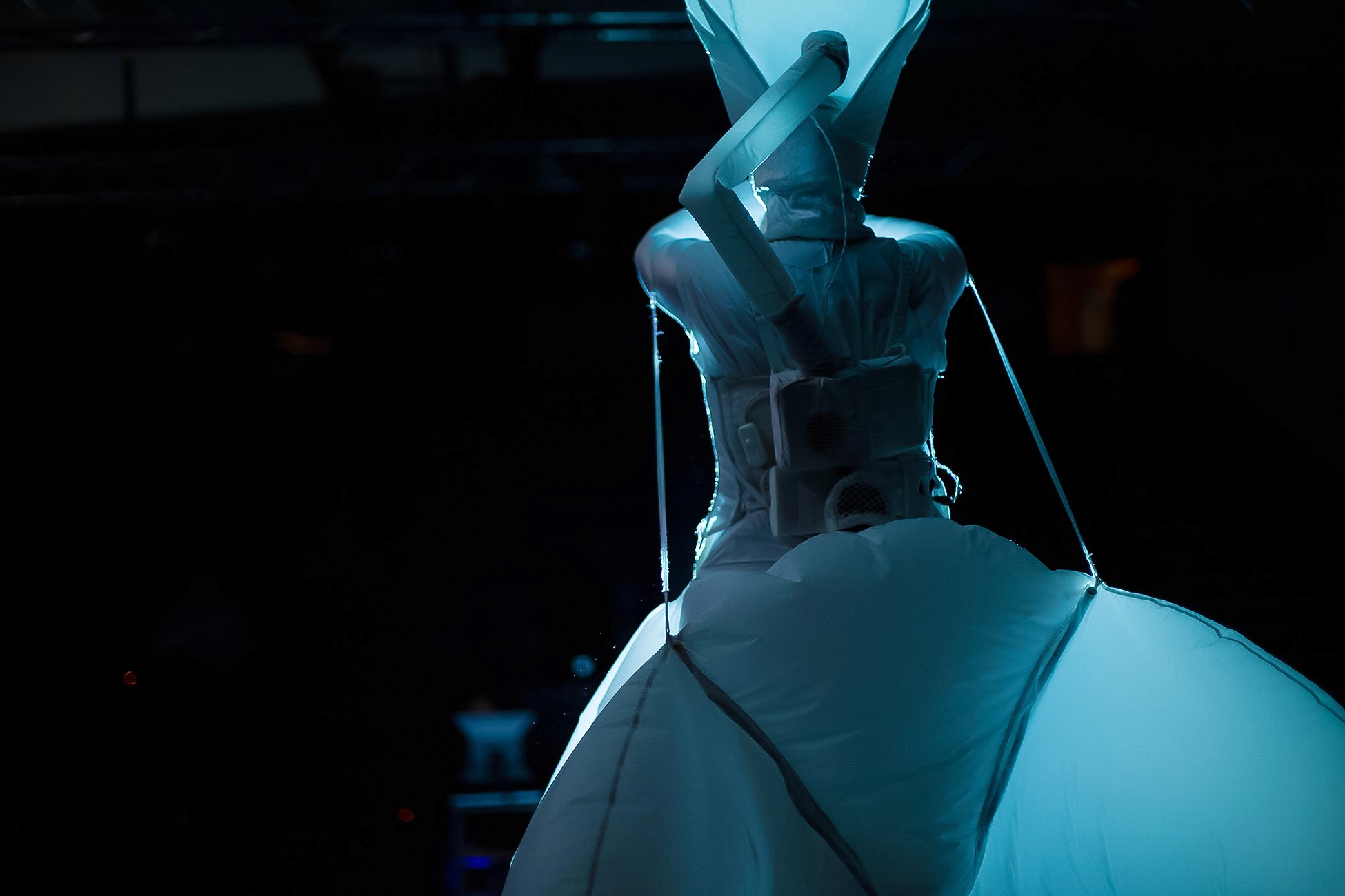 Imago Floris - augmented interactive performance installation