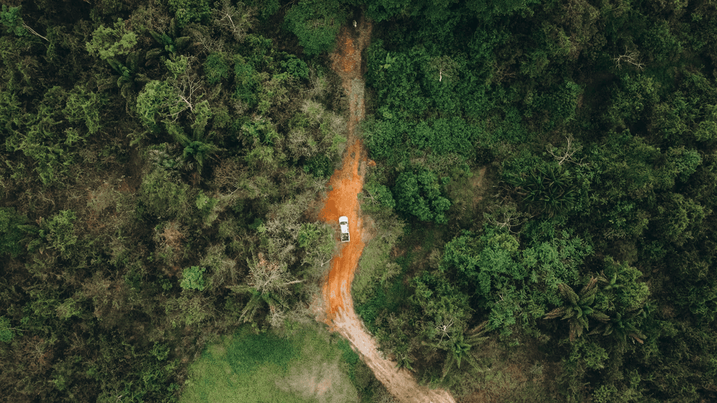 Vídeo Institucional - Vale Floresta de Carajas