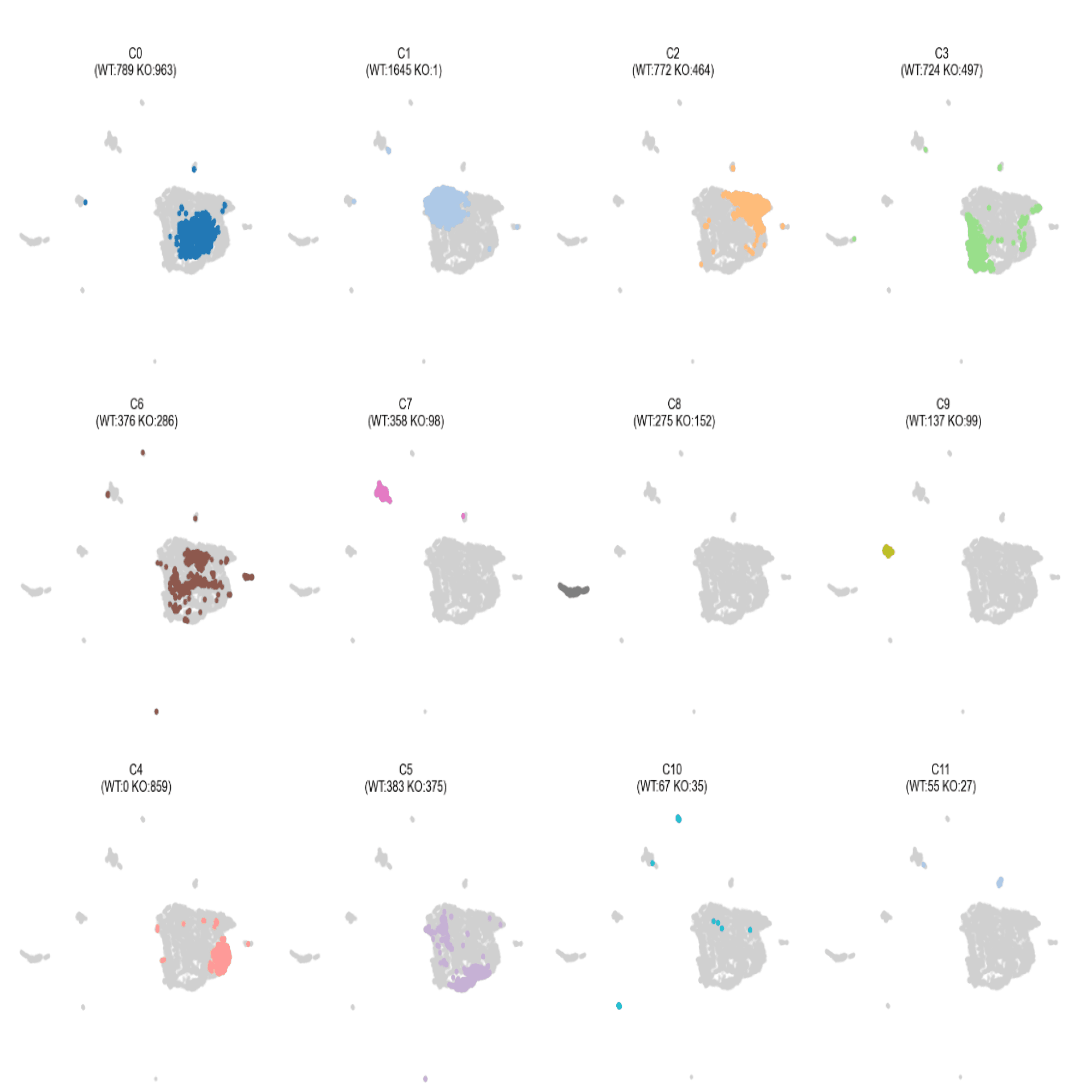 Single-cell ATAC-sequencing analysis