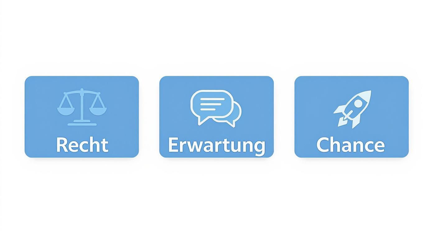 Infographic about bewerbung foto lebenslauf