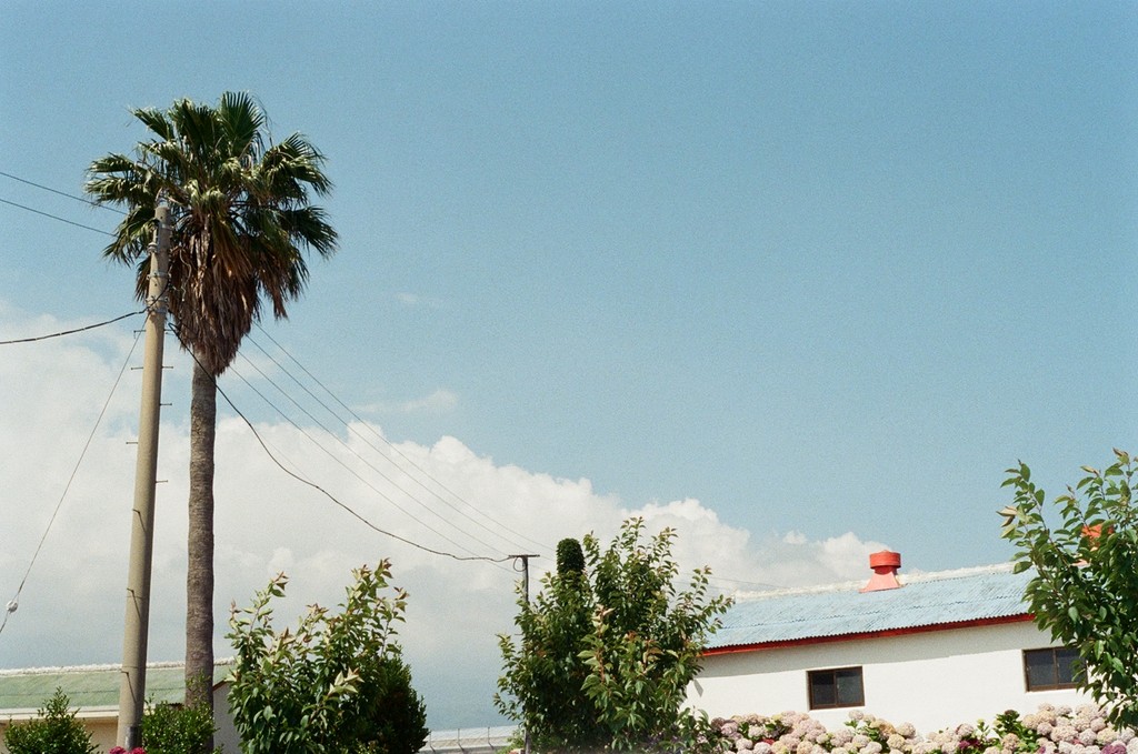 a cell phone with a yellow rectangular screen