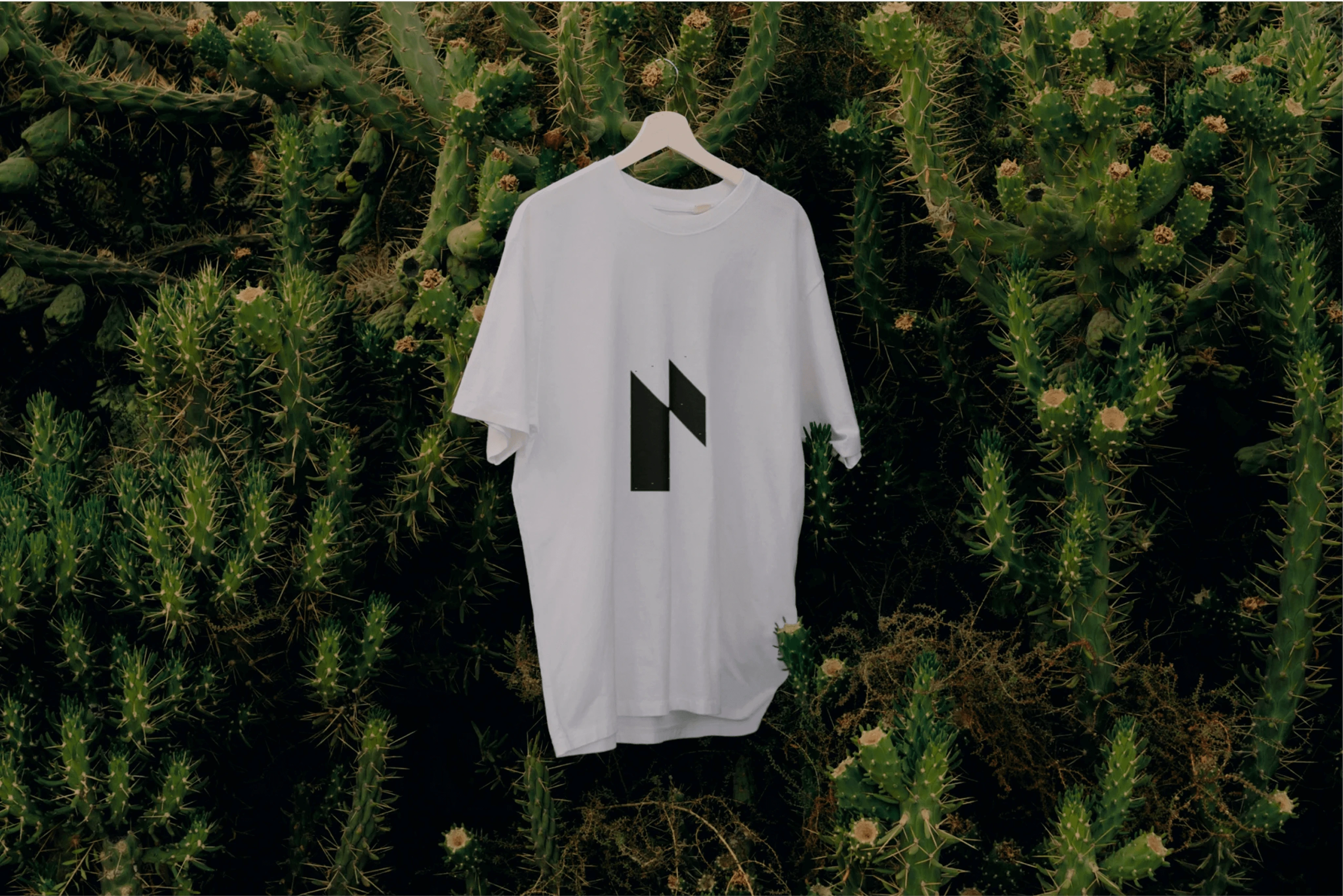 Rare Related Case Study Branding Image