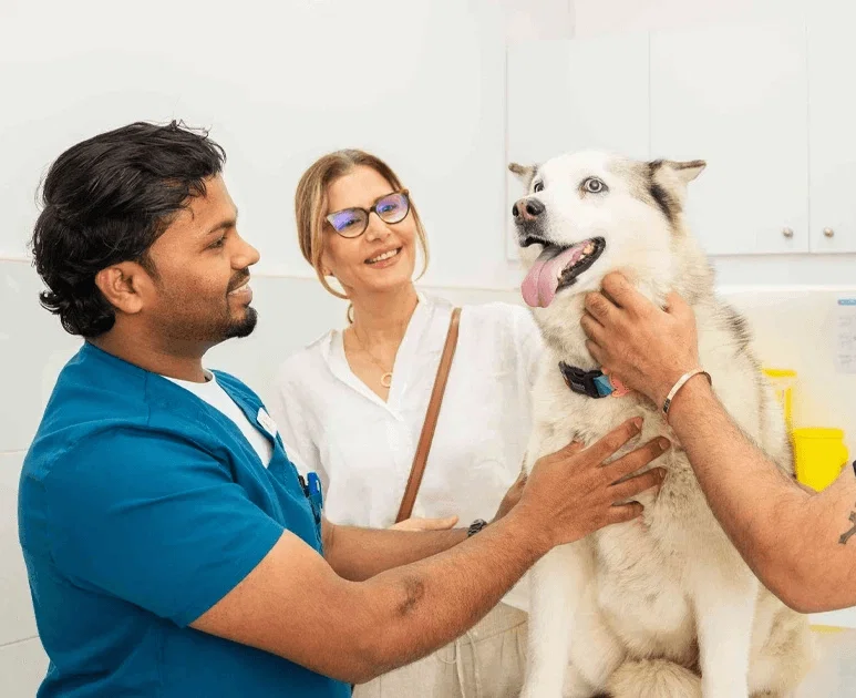A dog owner brings his dog to our dog boarding facility and explains the unique needs of his dog to our expert vet.