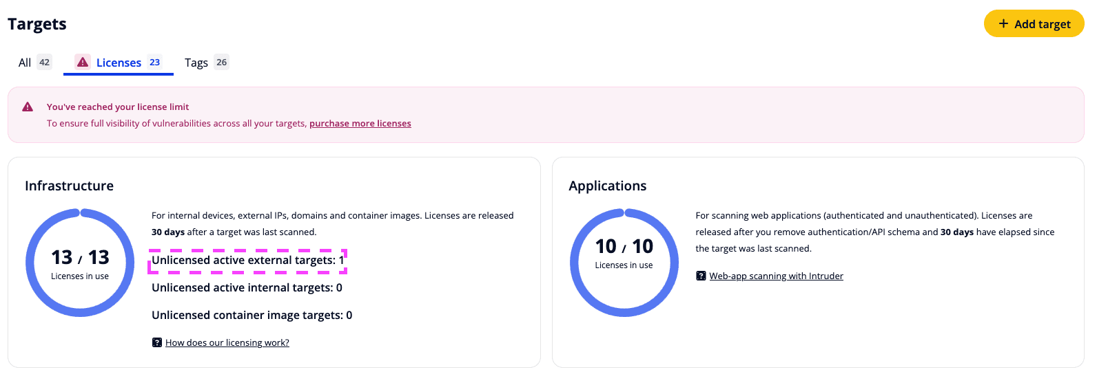 Intruder license-limit view showing separate full infrastructure and application pools
